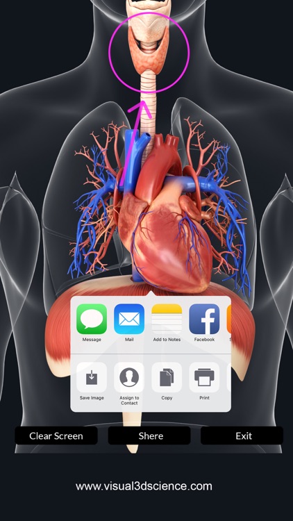 My Respiratory System Anatomy screenshot-4