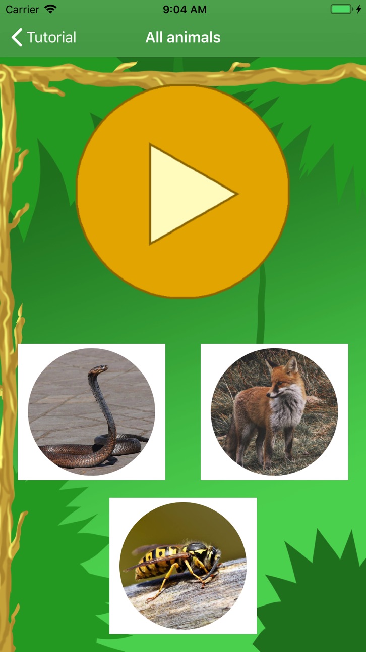 iPhone screenshot