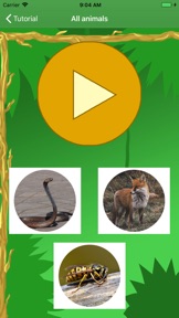 Capture d'écran