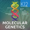 Genetics and Molecular Biology icon