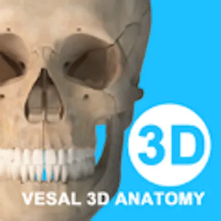 维萨里3D解剖-学生学习老师教学医生资源人体医学图谱大全 Cheats