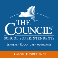 Councils Mobile Experience