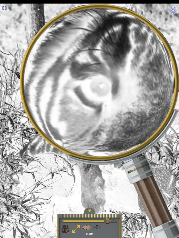 Magnifier (TiAu) LITE iPad screenshot