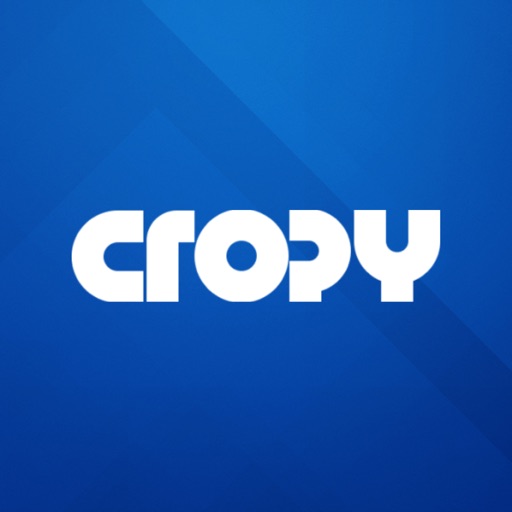Cropy AI: Used Cars AI Studio iOS App