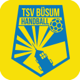 TSV Büsum Handball