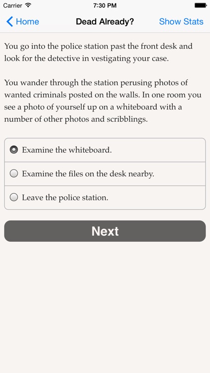 Dead Already screenshot-3