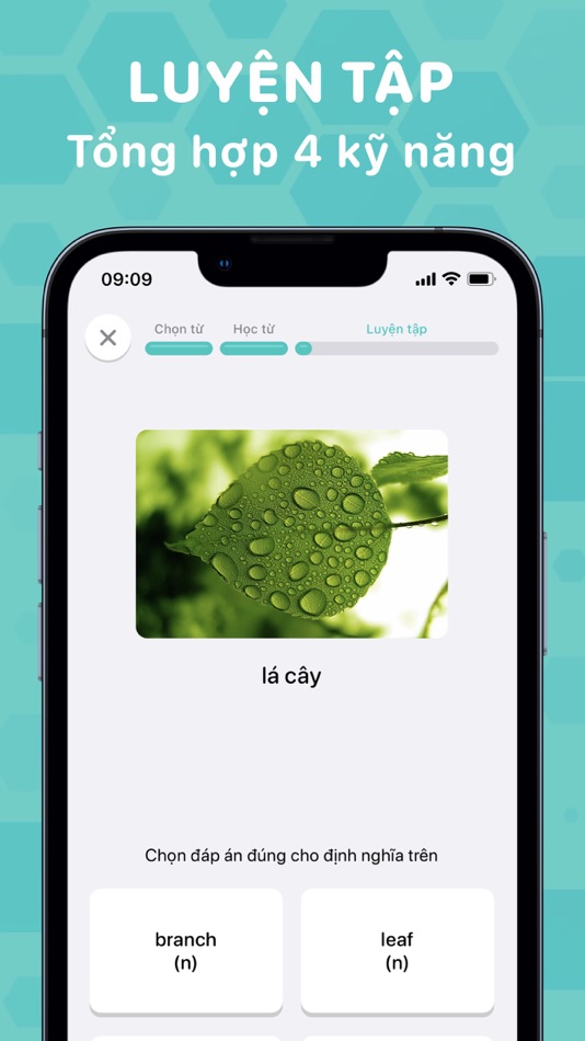 #2. Bloom: Học Tiếng Anh & Từ Vựng (iOS) 由: Dang Nguyen