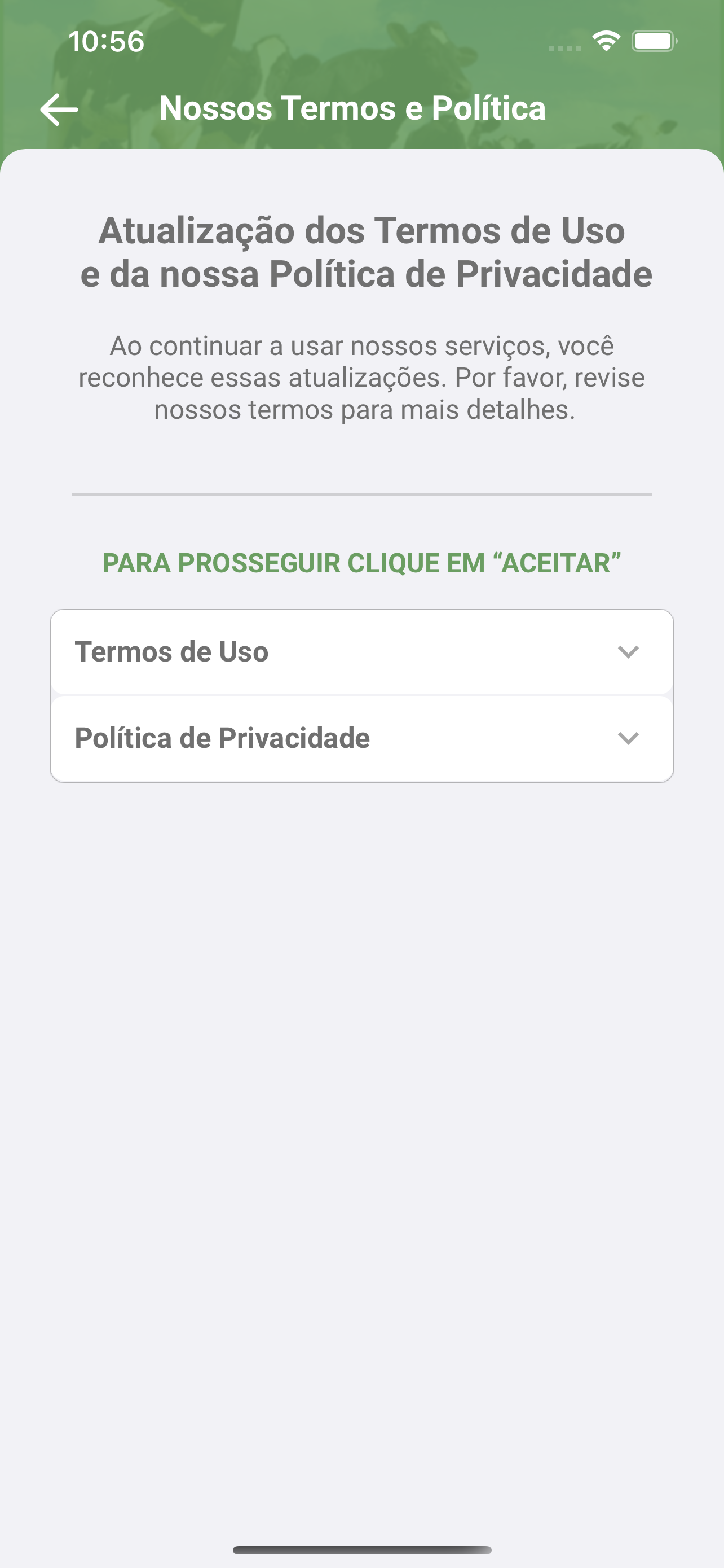 ProCampo