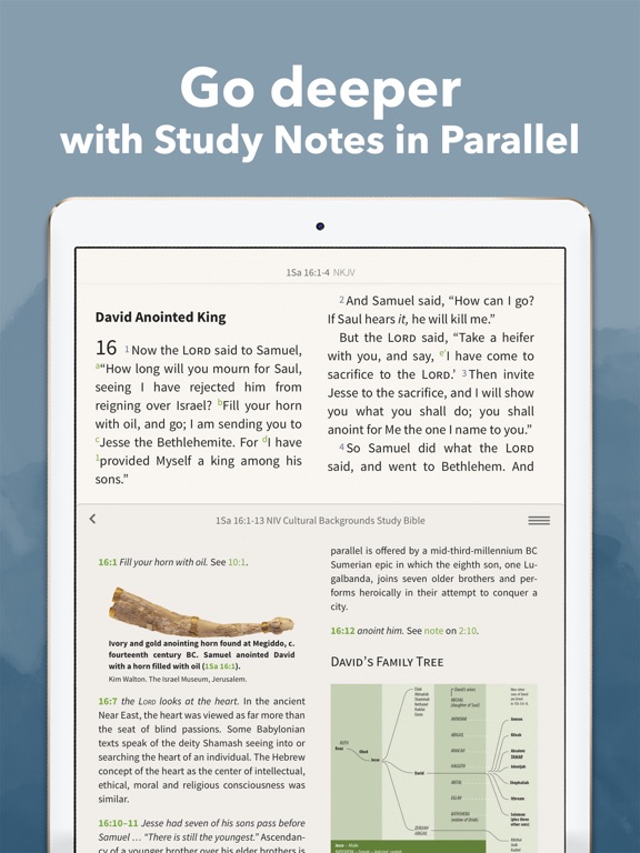 Screenshot #5 pour Bible App - Read & Study Daily