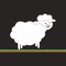 Icon Rattlin' Sheep