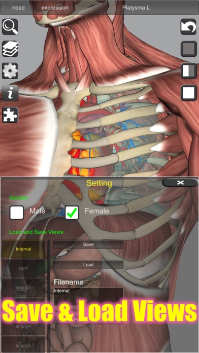 3D Bones and Muscles (Anatomy) Screenshot