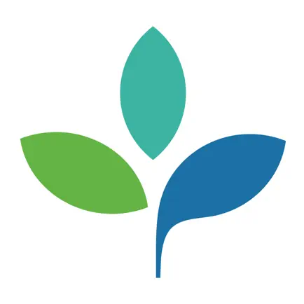 Totara Читы