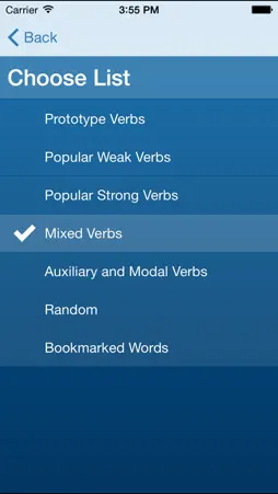 German Verbs Trainer screenshot 4