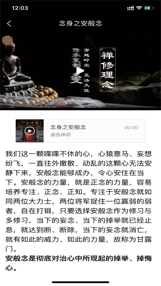 #2. 四念处-滇悟禅师-佛法-佛 (iOS) 由: Xianghe Wensixiu Cultural Communication Co., Ltd.