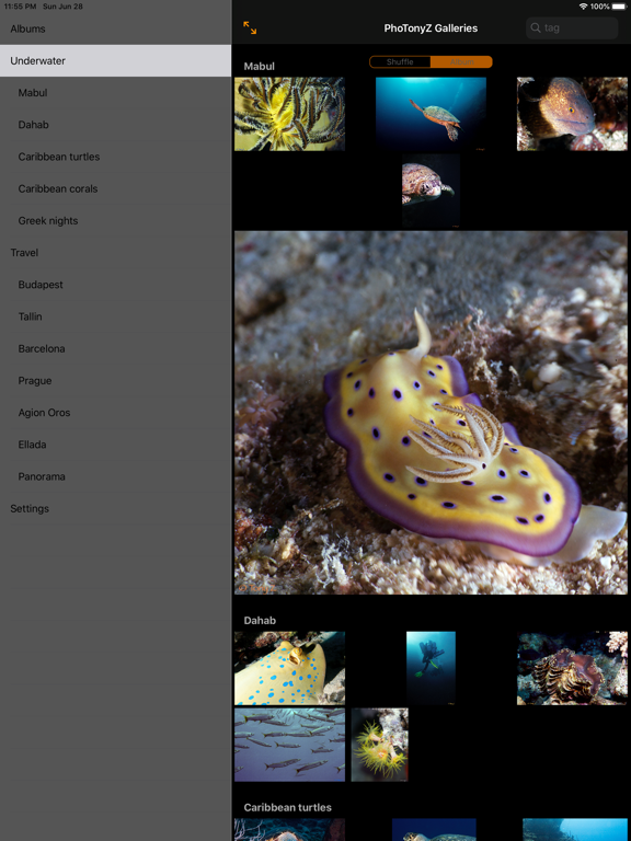 Screenshot #5 pour PhoTonyZ - photo downloads