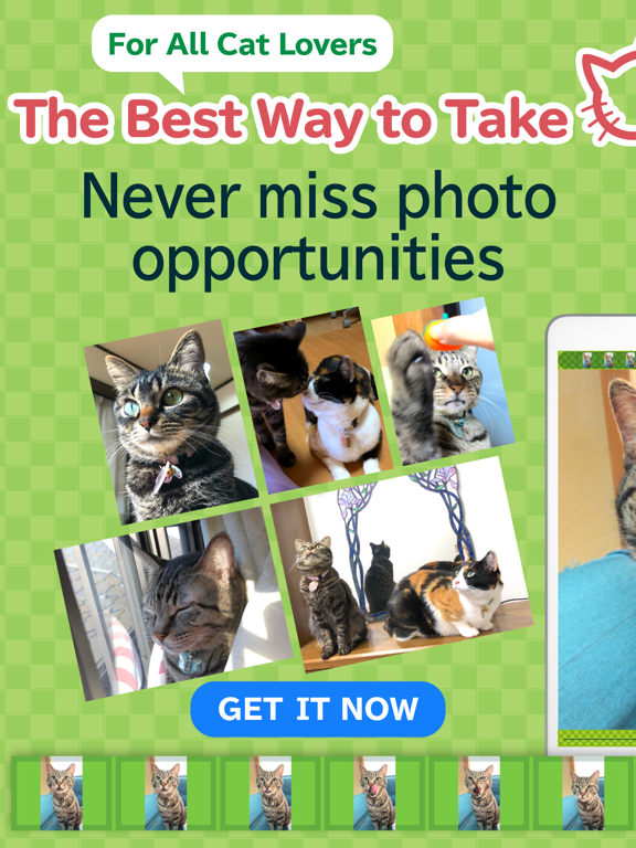 Screenshot #4 pour toruneko (KittyCam)