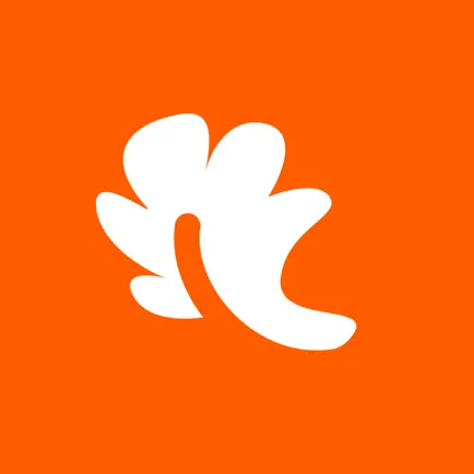 포미 Читы