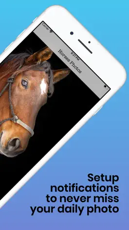Game screenshot Horses Photos apk