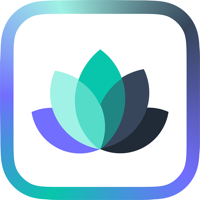 Feeling Moodie Mind Fitness