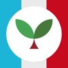Learn French with Seedlang icon