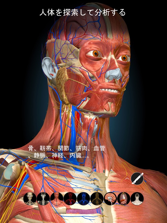 Anatomy Learning - 3Dアナトミーのおすすめ画像1