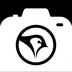Sparrow Capture App Support
