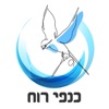 כנפי רוח