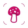 MushroomLens - Fungi Finder App Negative Reviews