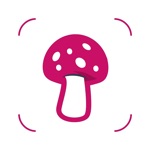 Download MushroomLens - Fungi Finder app