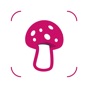 MushroomLens - Fungi Finder app download