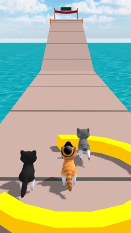 Cat Fun Race 3D Run Face Gameのおすすめ画像5