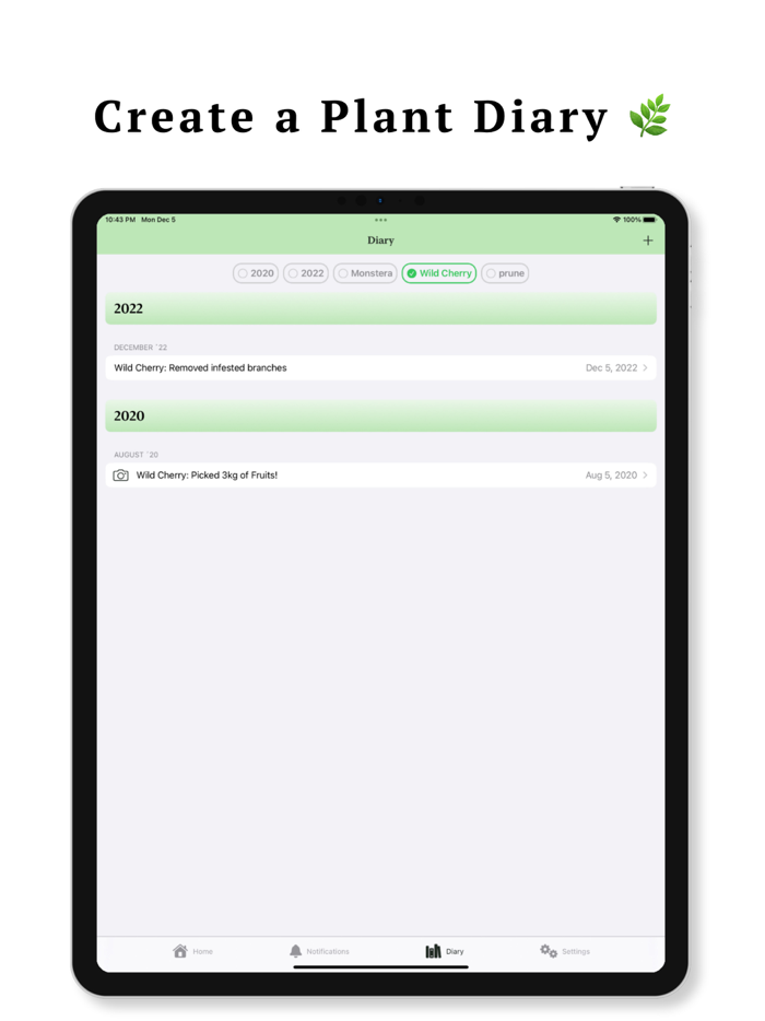 Indoor Plant Garden Planning