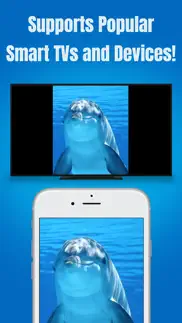 screen mirroring app - tv cast iphone screenshot 3