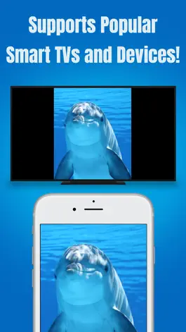 Game screenshot Screen Mirroring App - TV Cast hack
