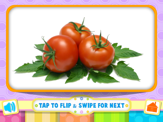 Screenshot #6 pour Flash Cards All In One