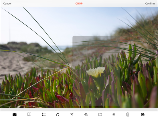 Camera with Filters iPad screenshot