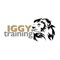 Download the IggyTraining App today to plan and schedule your classes or personal training sessions