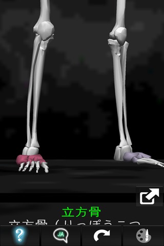 3D人骨（解剖学）のおすすめ画像5