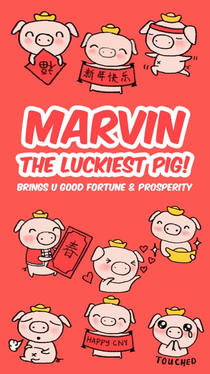 Marvin the Lucky Pig