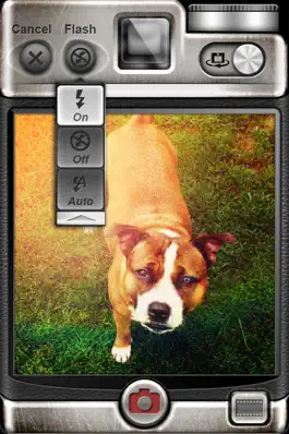 Game screenshot Vintage Camera apk