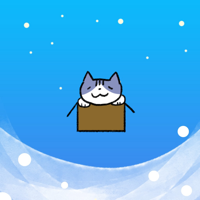 Carton Cat