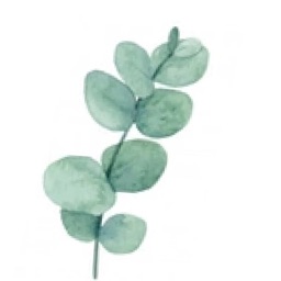 iDo - Wedding Planner