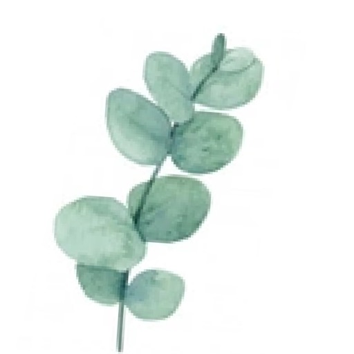 iDo - Wedding Planner