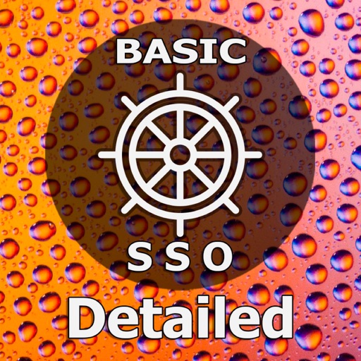 Basic. SSO Detailed CES Test icon