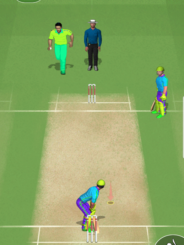 Play Live Cricket Game