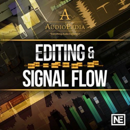 Editing and Signal Flow Guide icon