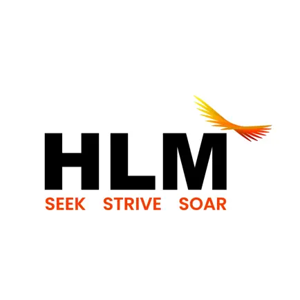 HLM Group Читы