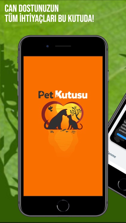 Pet Kutusu
