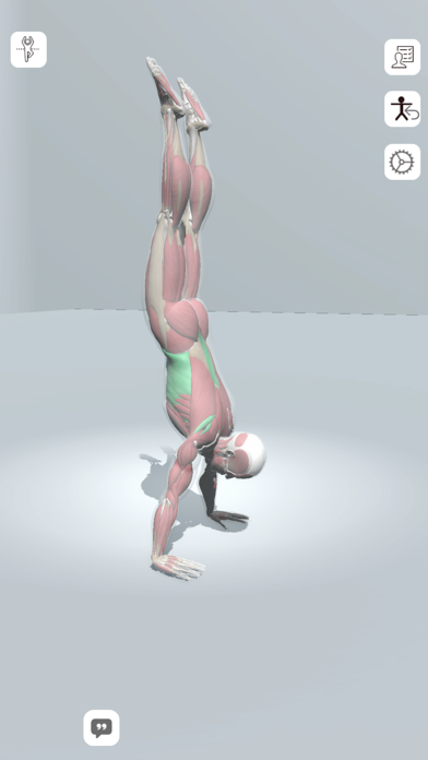 3D Yoga - Yoga Anatomy Screenshot