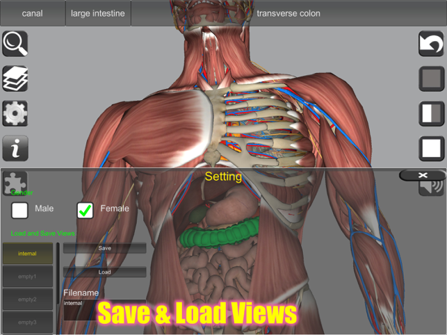 ‎Captura de tela de anatomia 3D